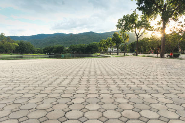 Trusted Oak View, CA Driveway Pavers Experts
